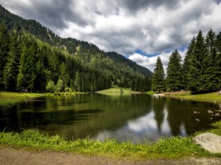 Val di Sole - Lago dei Caprioli
