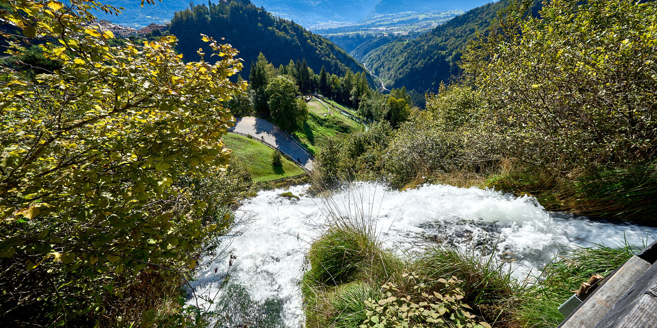 © Paolo Bisti - Luconi 