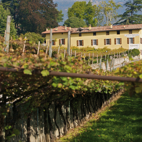 Vineria de Tarczal