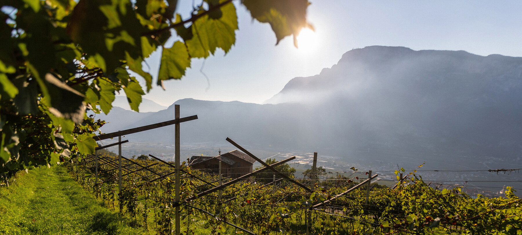 A wine-tasting journey through the farmsteads of Trentino