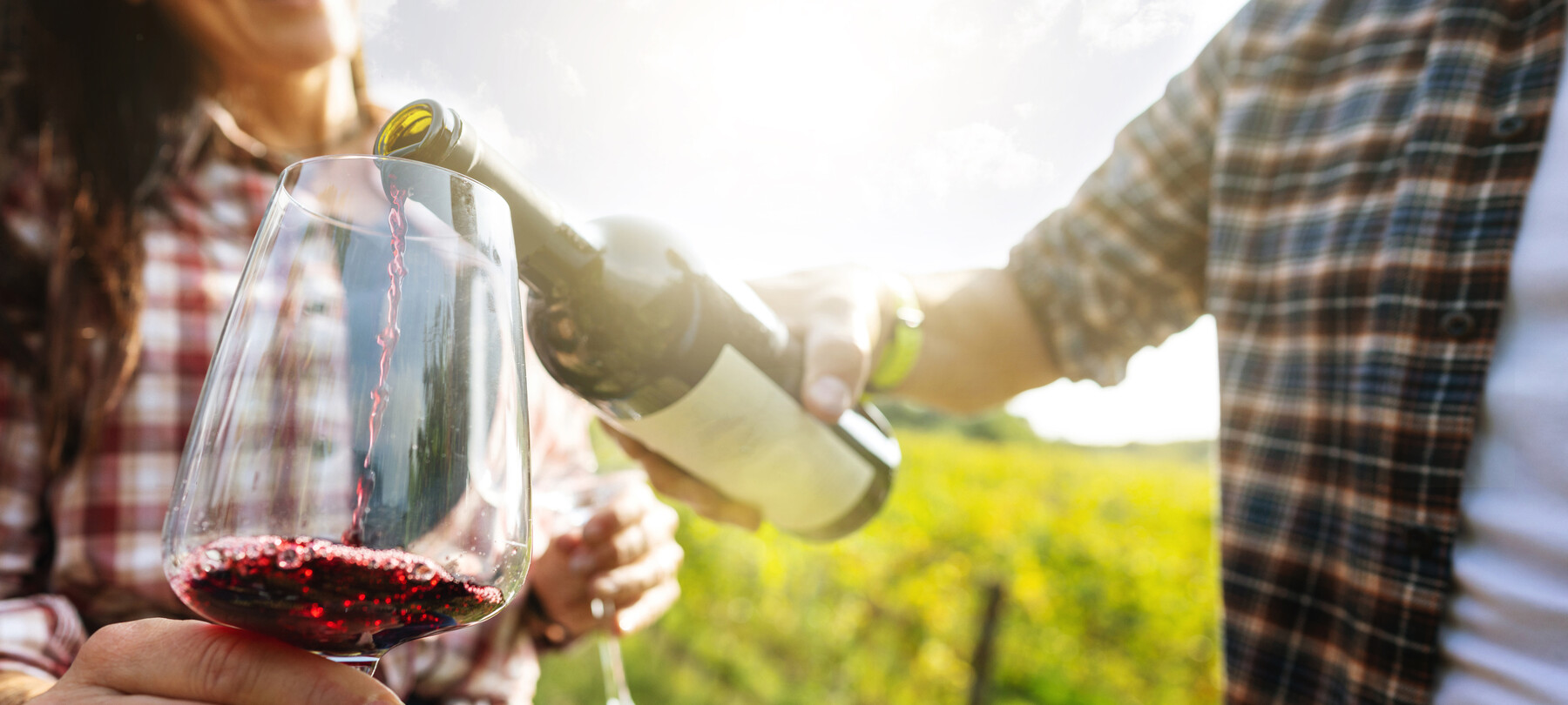 Vineyard Trails: different Ways To Enjoy Wine Trekking In Trentino