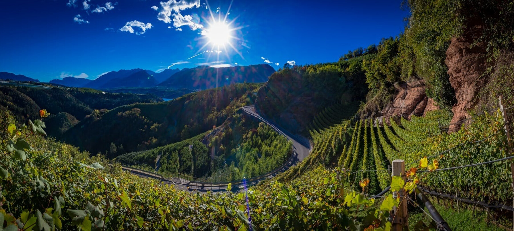 Vineyard Trails: different Ways To Enjoy Wine Trekking In Trentino