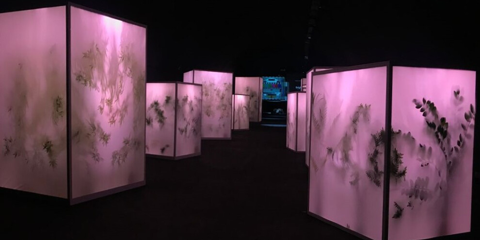Mostra Spettacolo, Trento