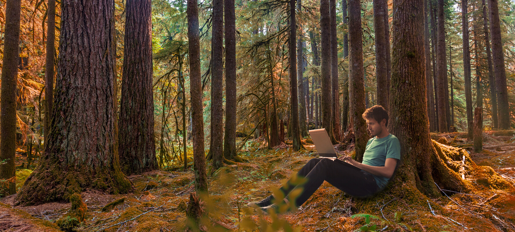 Smartworking… midden in het bos