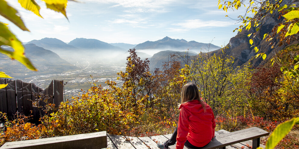 The Panoramic Terrace