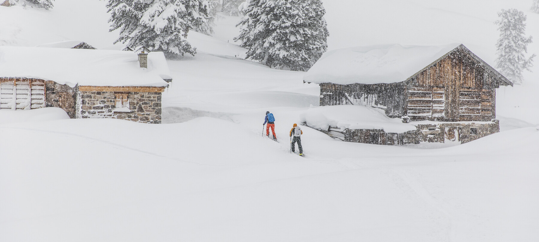 Sci alpinismo nel bosco verso Malga Canvere | © Federico Modica