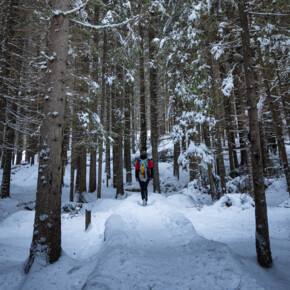 Зарядитесь Энергией Гор