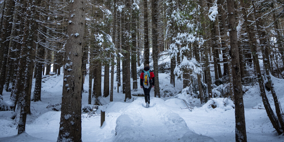 Tussen hangbruggen en doorzichtige bruggen