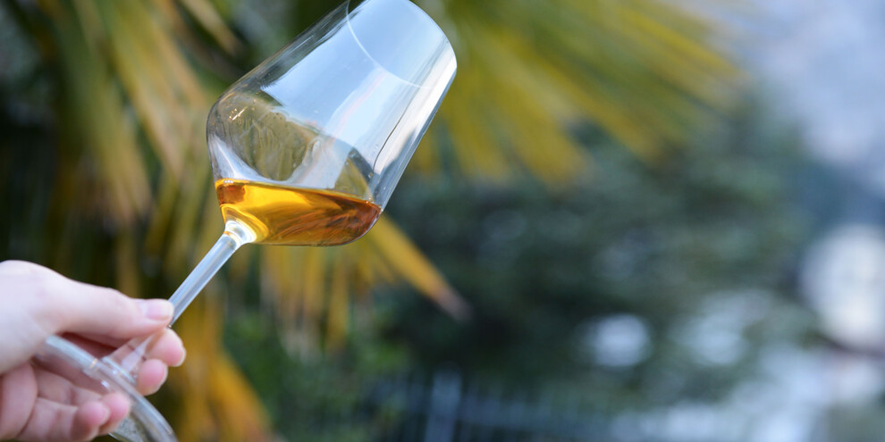 Strada del vino e dei sapori del Trentino