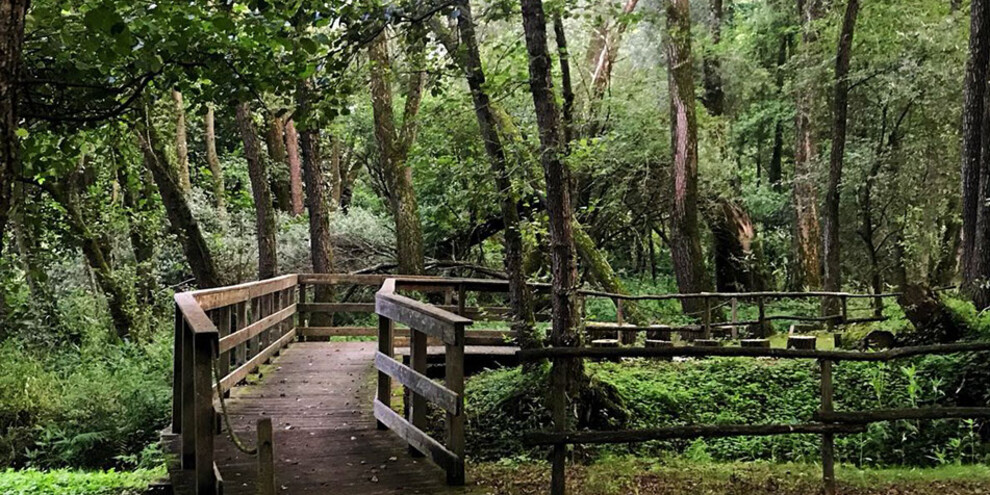 Biotop w Roncegno, Valsugana