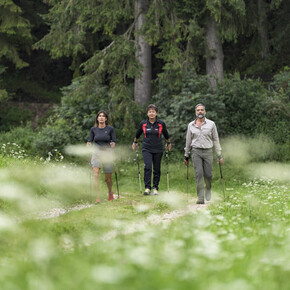 Nordic walking