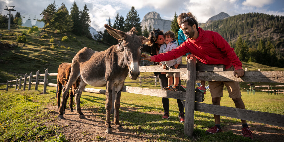 In montagna con i piccoli