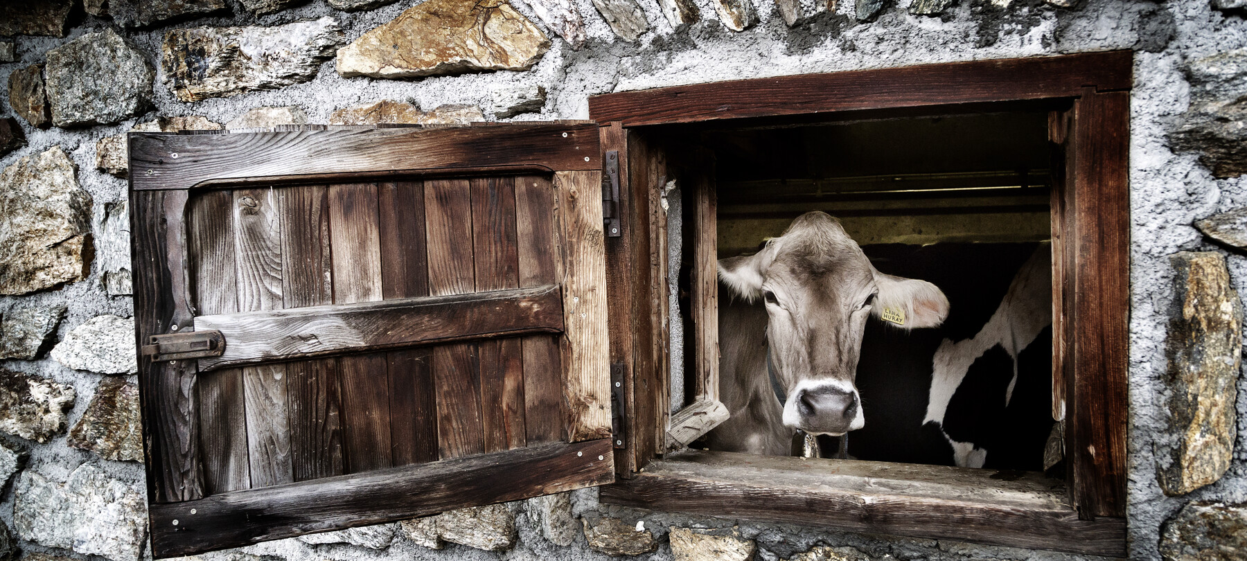 Educational Farms in Trentino