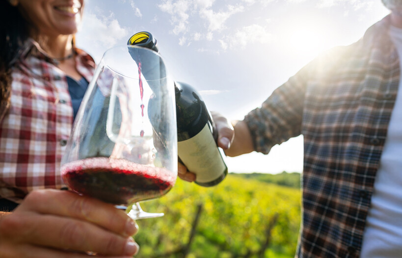 Ontdek meer over deze wijn