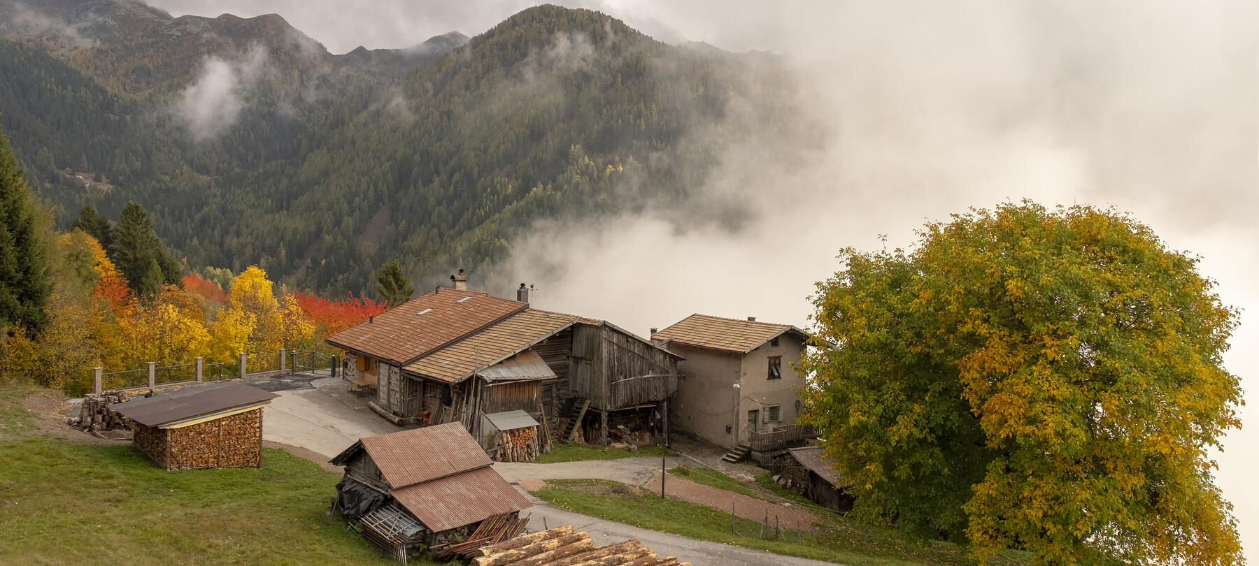 Viaggio in Valsugana: dalle miniere della Val dei Mocheni ad Arte Sella