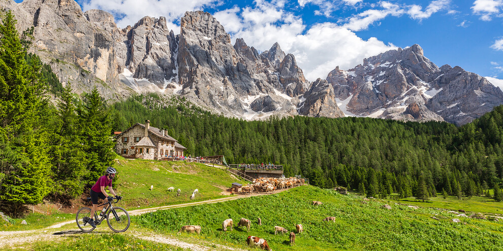 Val Venegia | © Archivio Trentino MKTG