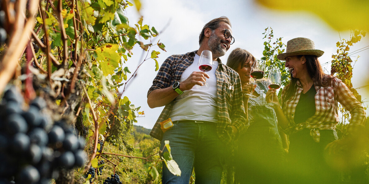 Wine & grape harvesting festivals