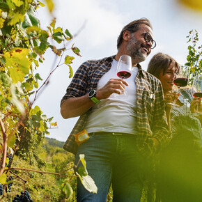 Experiences with wine and similar pleasures