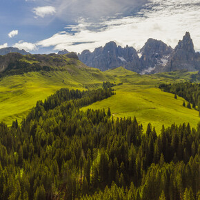 Val di Fiemme - Paneveggio - Bosco - Foresta - Pale di San Martino | © Luciano Gaudenzio