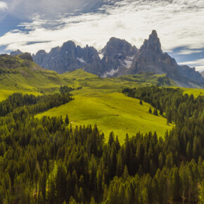 Val di Fiemme - Paneveggio - Bosco - Foresta - Pale di San Martino | © Luciano Gaudenzio