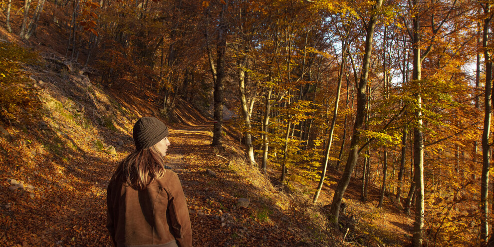 Valle di Cembra - Lisignago - Lago Santo - Ragazze nel bosco nei pressi del lago - Foliage | © Alberto Bernasconi