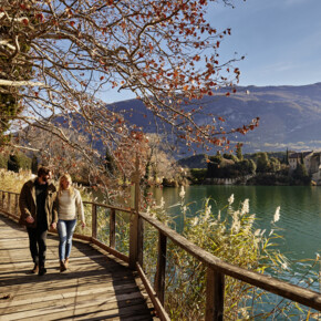 Czarujące lustra wody