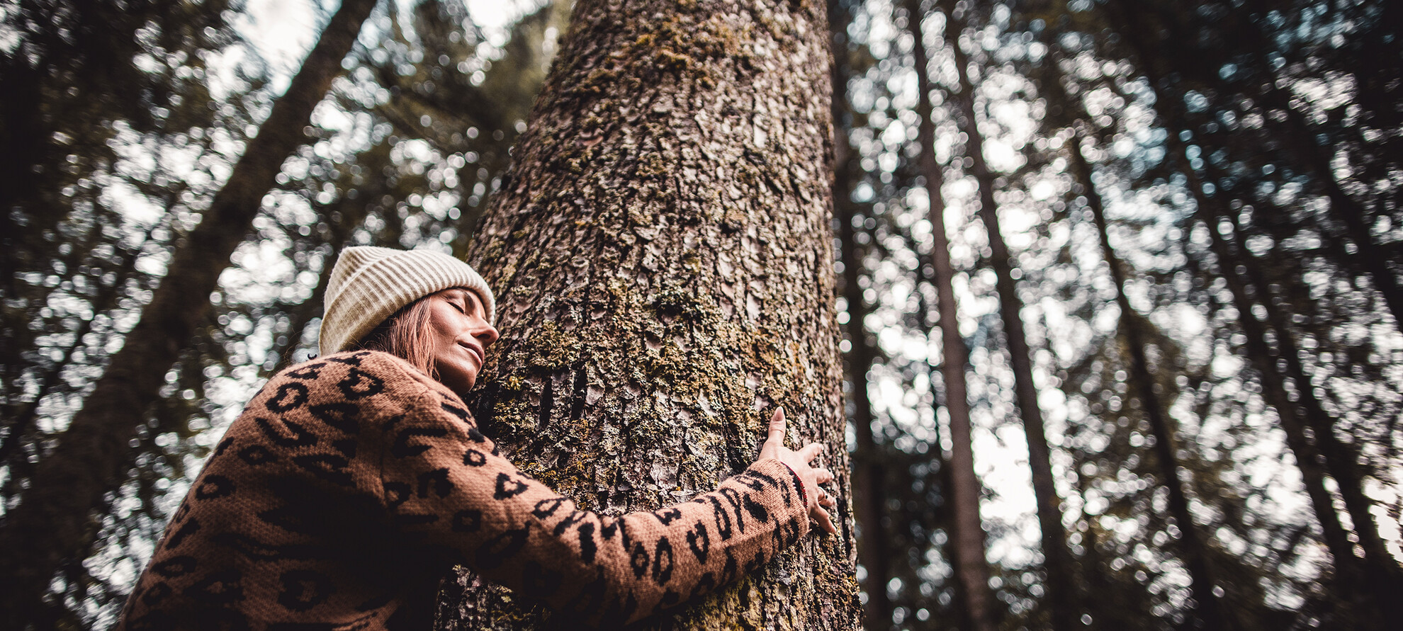 Your wellness journey