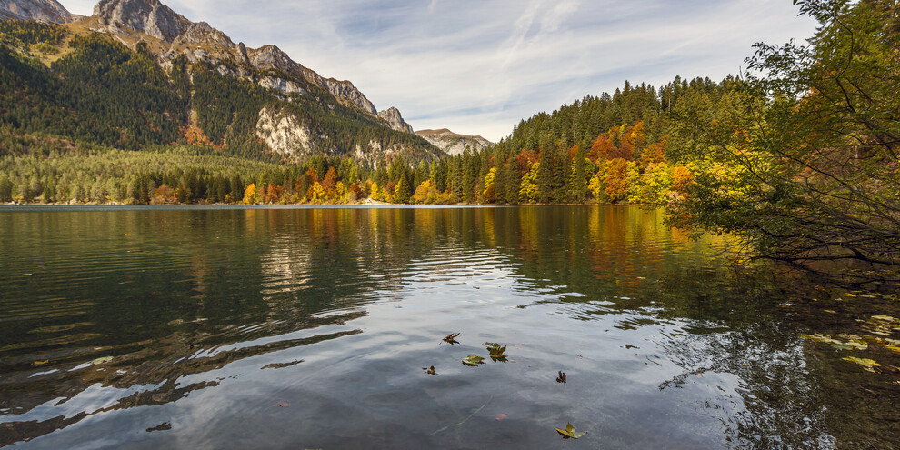 Lake Tovel, a walk in the Nature Park