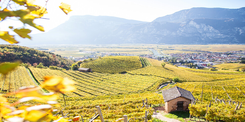 Authentic experiences