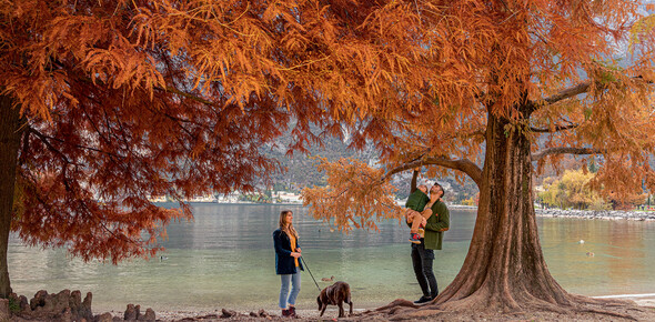 Riva del Garda