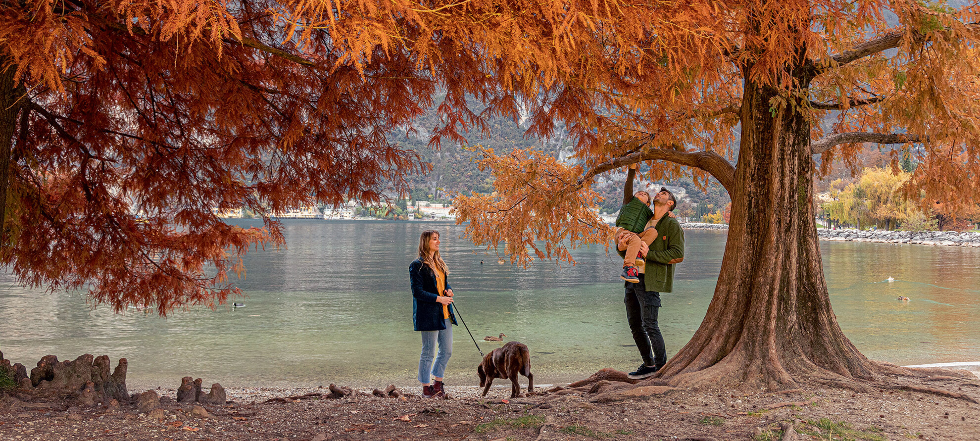 Herfst kleuren