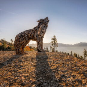 Lupa Lagorai | © Dejan Bilic - Apt Valsugana