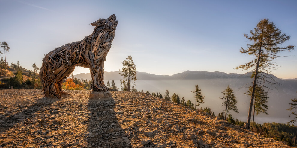 Lupa Lagorai | © Dejan Bilic - Apt Valsugana