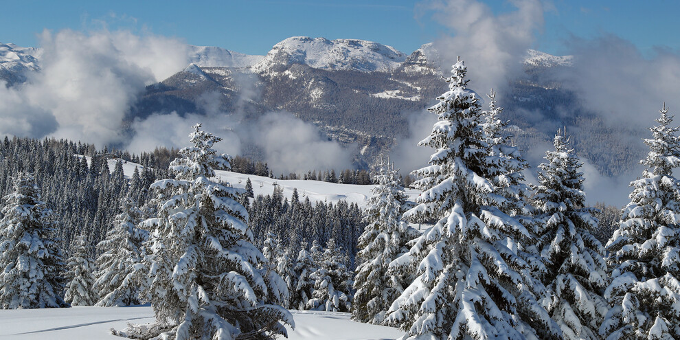 Alpe Cimbra - Bosco innevato | © Arturo Cuel