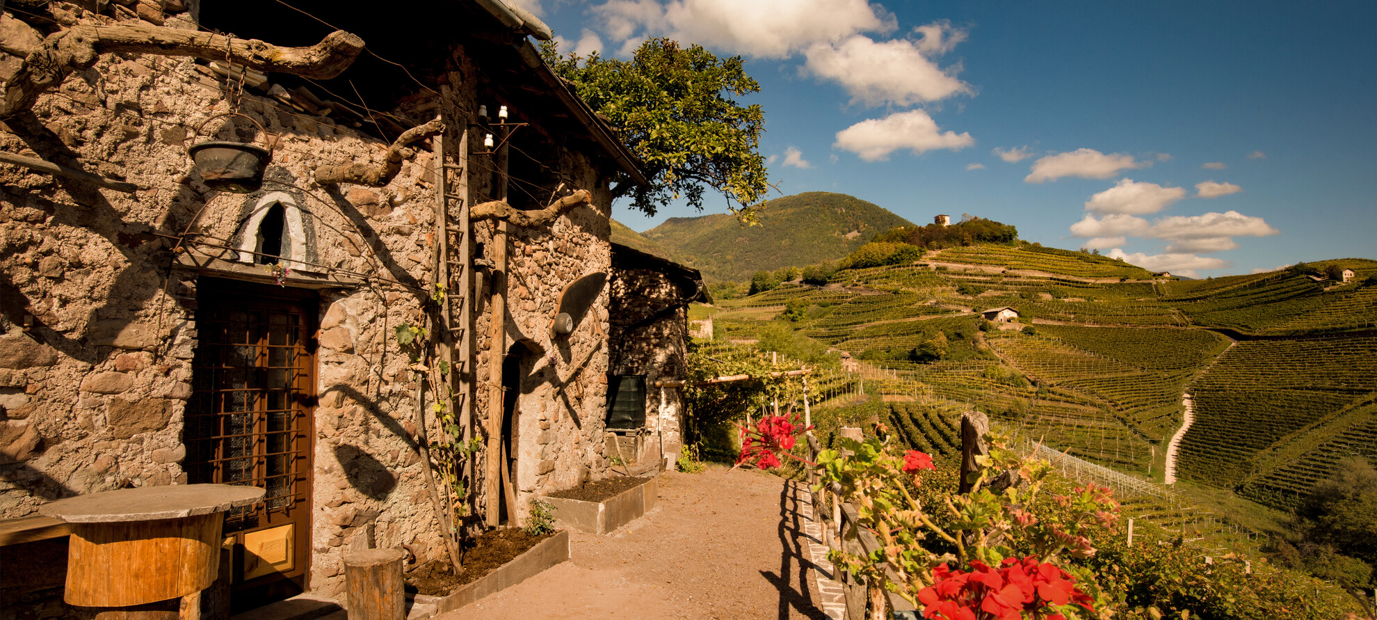 Valle di Cembra - Panorama con i vigneti e terrazzamenti | © Enzo Romano