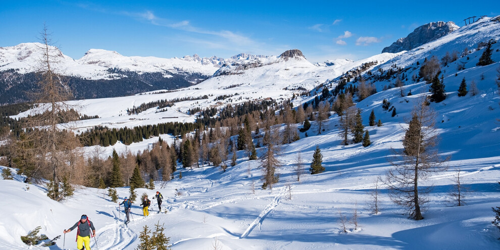 Malga Rolle - Cavallazza – Tognazza