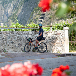 Giro Vino 50 | © Consorzio Turistico Piana Rotaliana Königsberg 