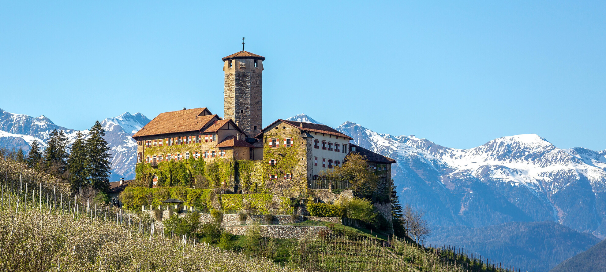 A journey into the Middle Ages