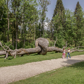ленд-арт в Трентино