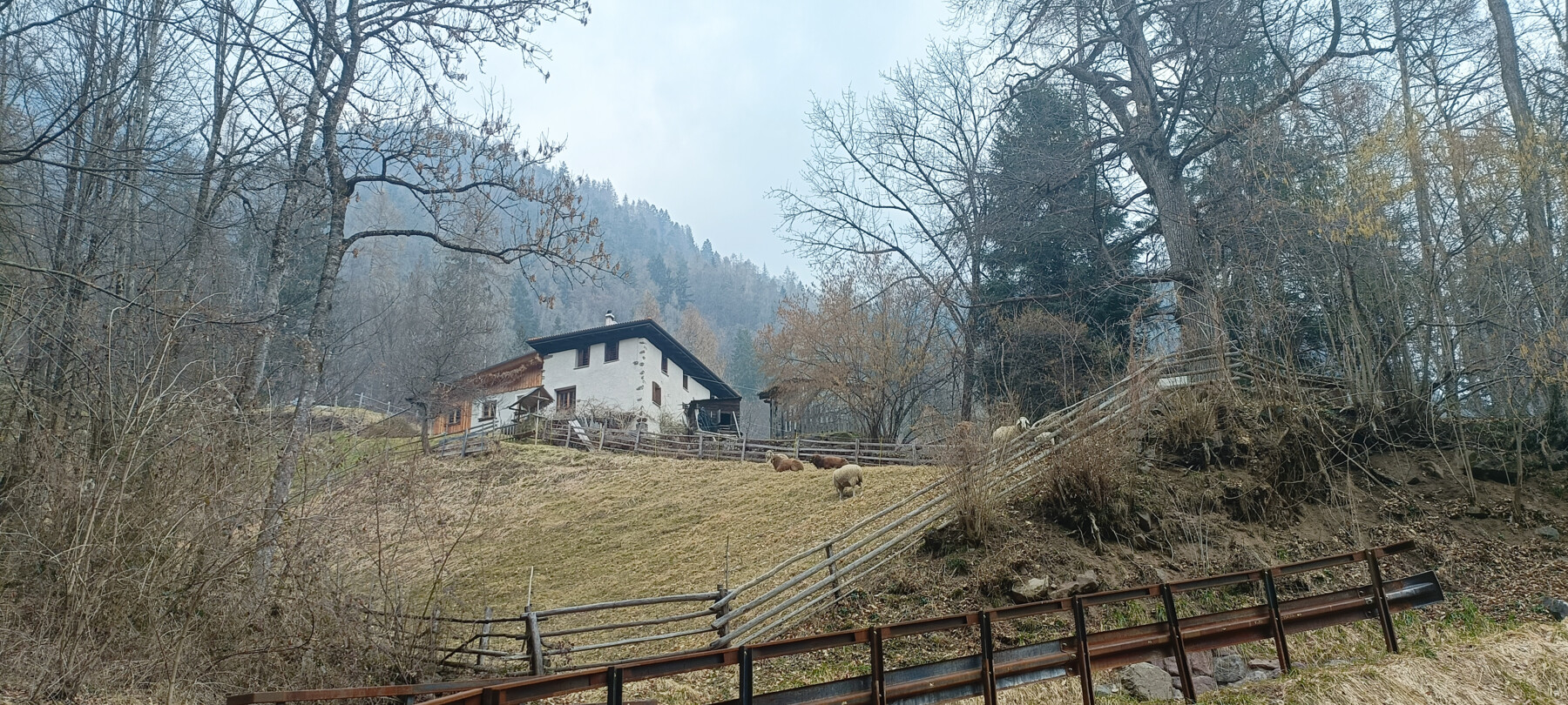 Mas del Saro | © Archivio Trentino Mktg