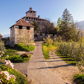 Castelli del Trentino
