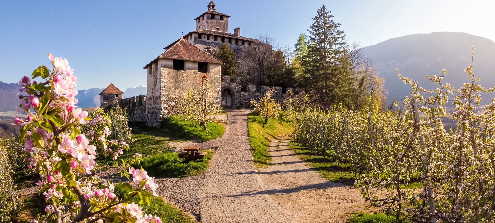 Among the towers and ramparts