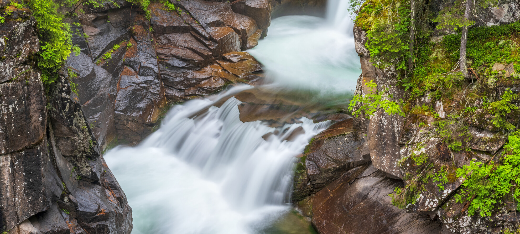 Local passion and places