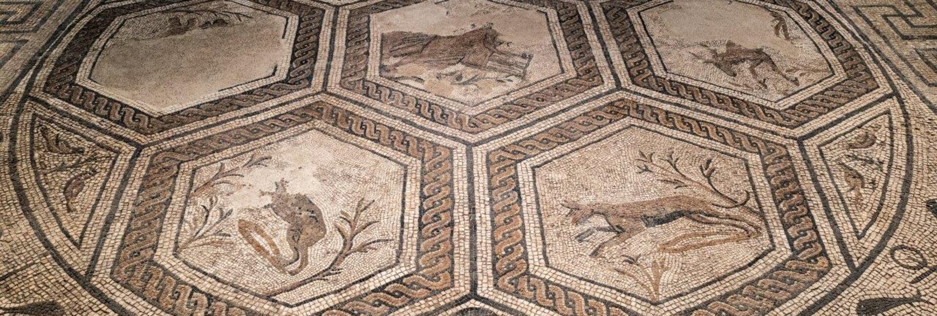 Roman Villa of Orpheus