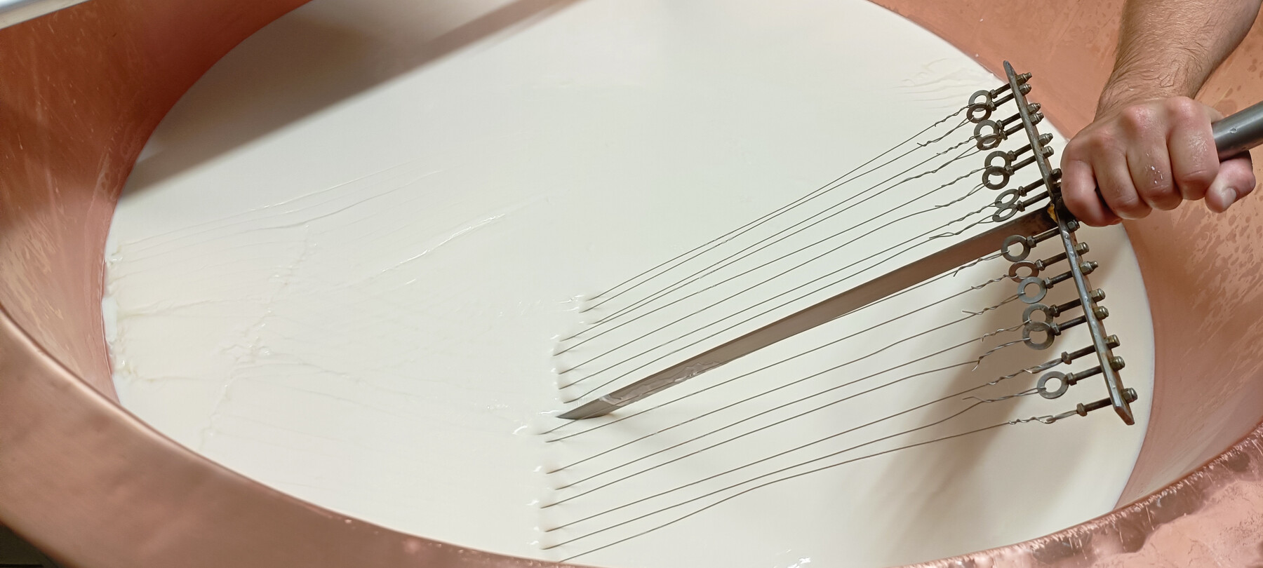 Caglio Latte Ledro | © Archivio Trentino Mktg