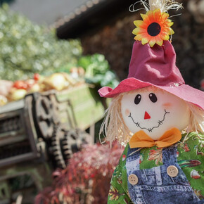 Strada della mela | © Archivio Trentino Mktg