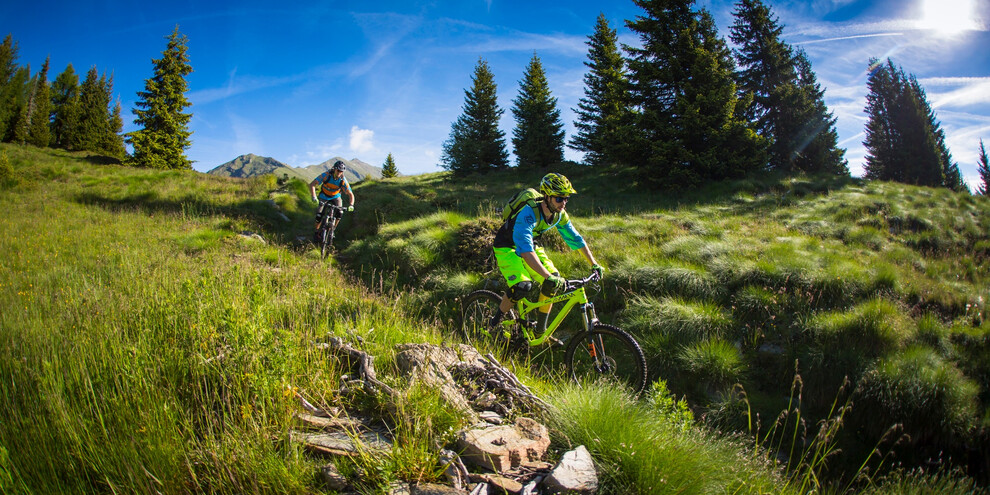 Trail Malga Campo 707, Val di Sole