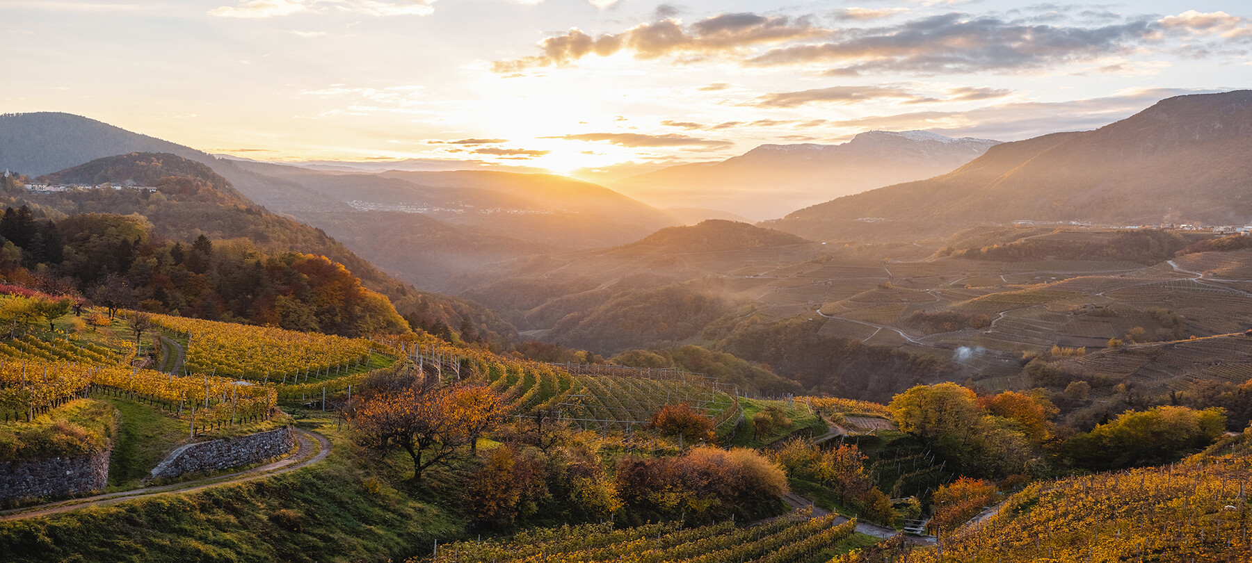 Dolo-Vini-Miti wine festival