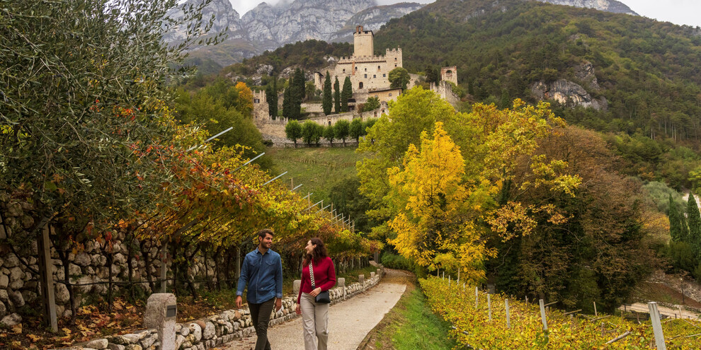 Avio Castle