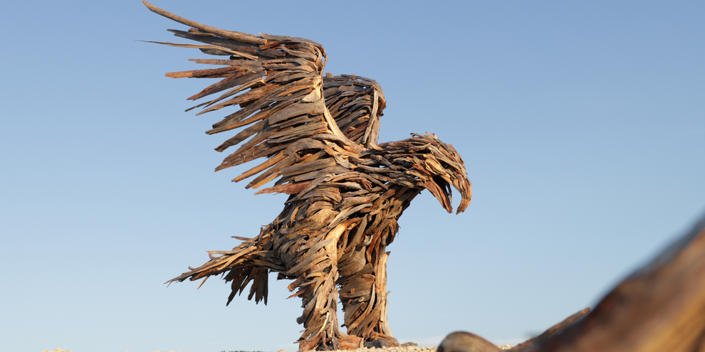 Aquila di Marcesina - Valsugana | © Sebastiano Montibeller